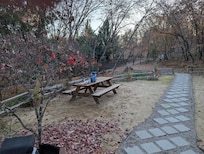 Perfect spot for food and games