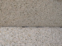 Mold in the shower