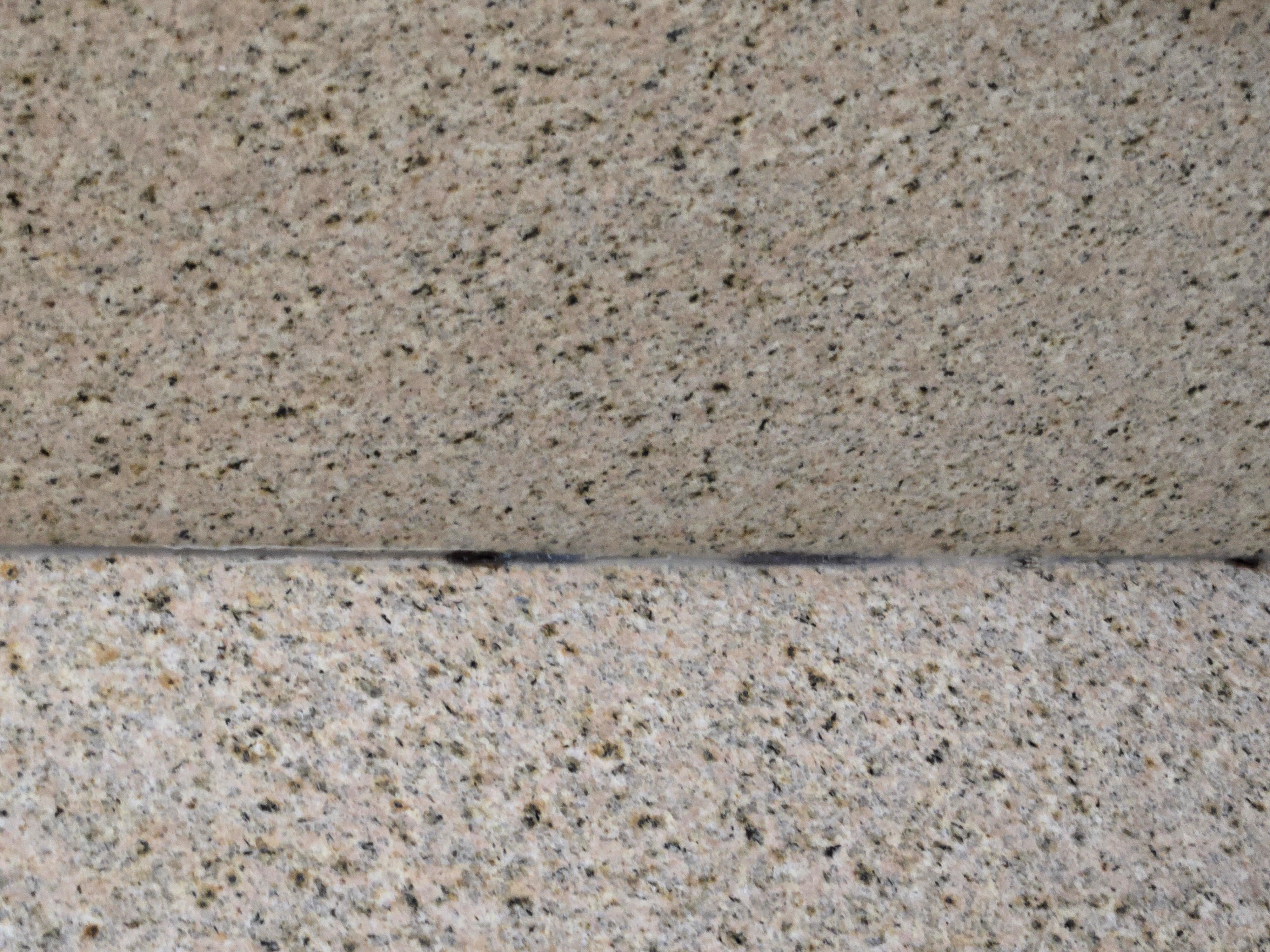 Mold in the shower