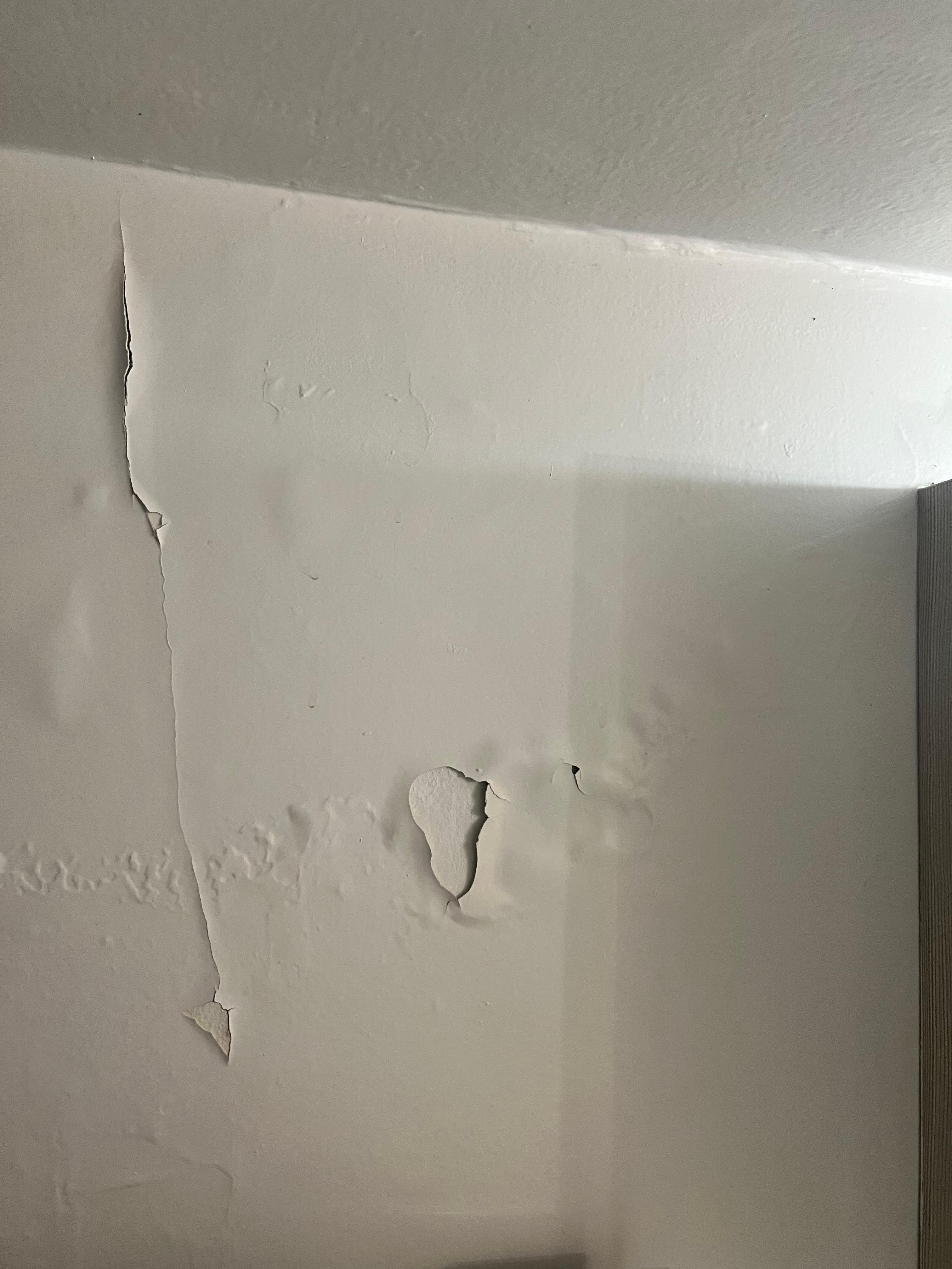 Peeling paint all over the bathroom. 