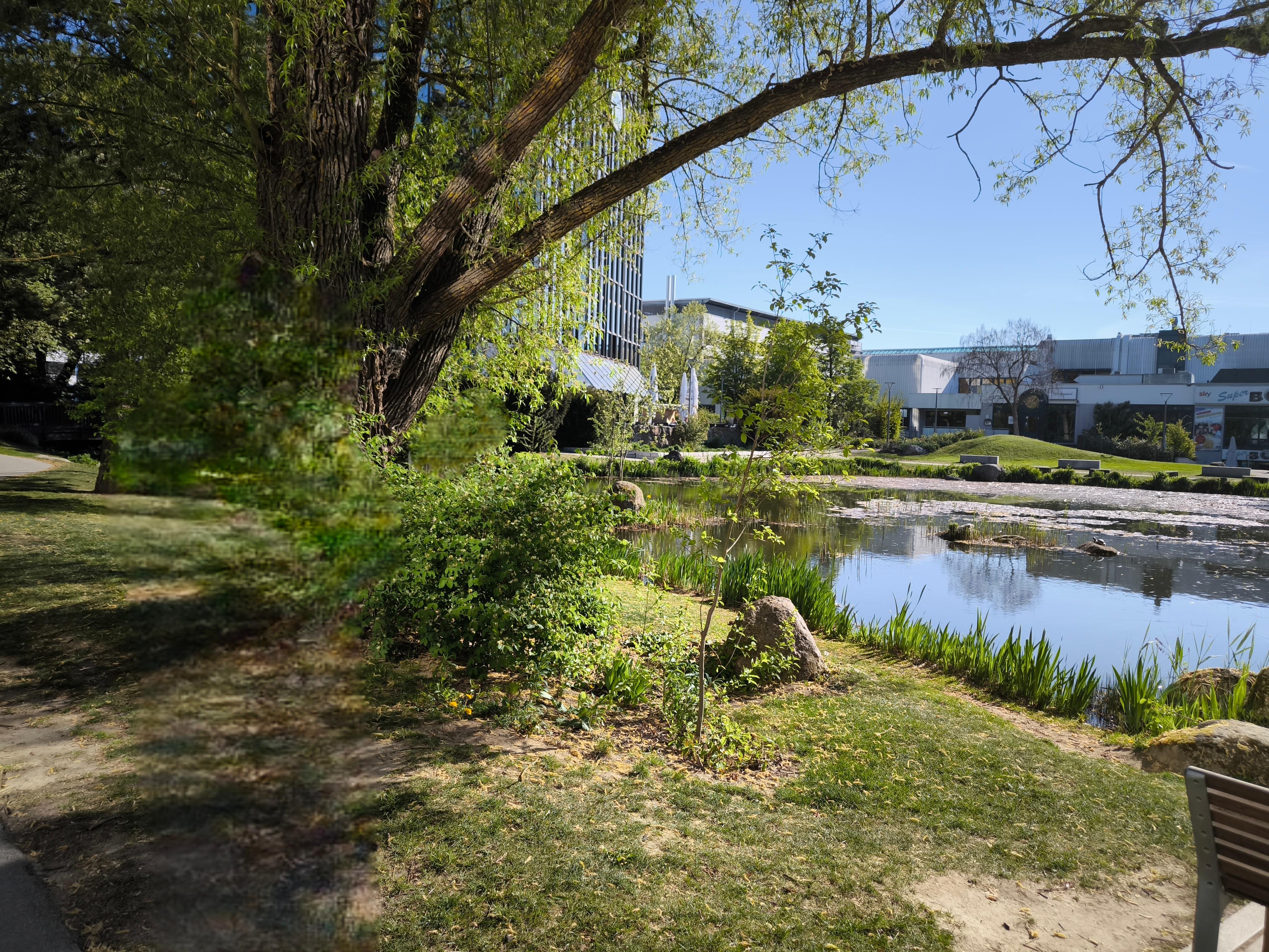 Blick zum Restaurant 