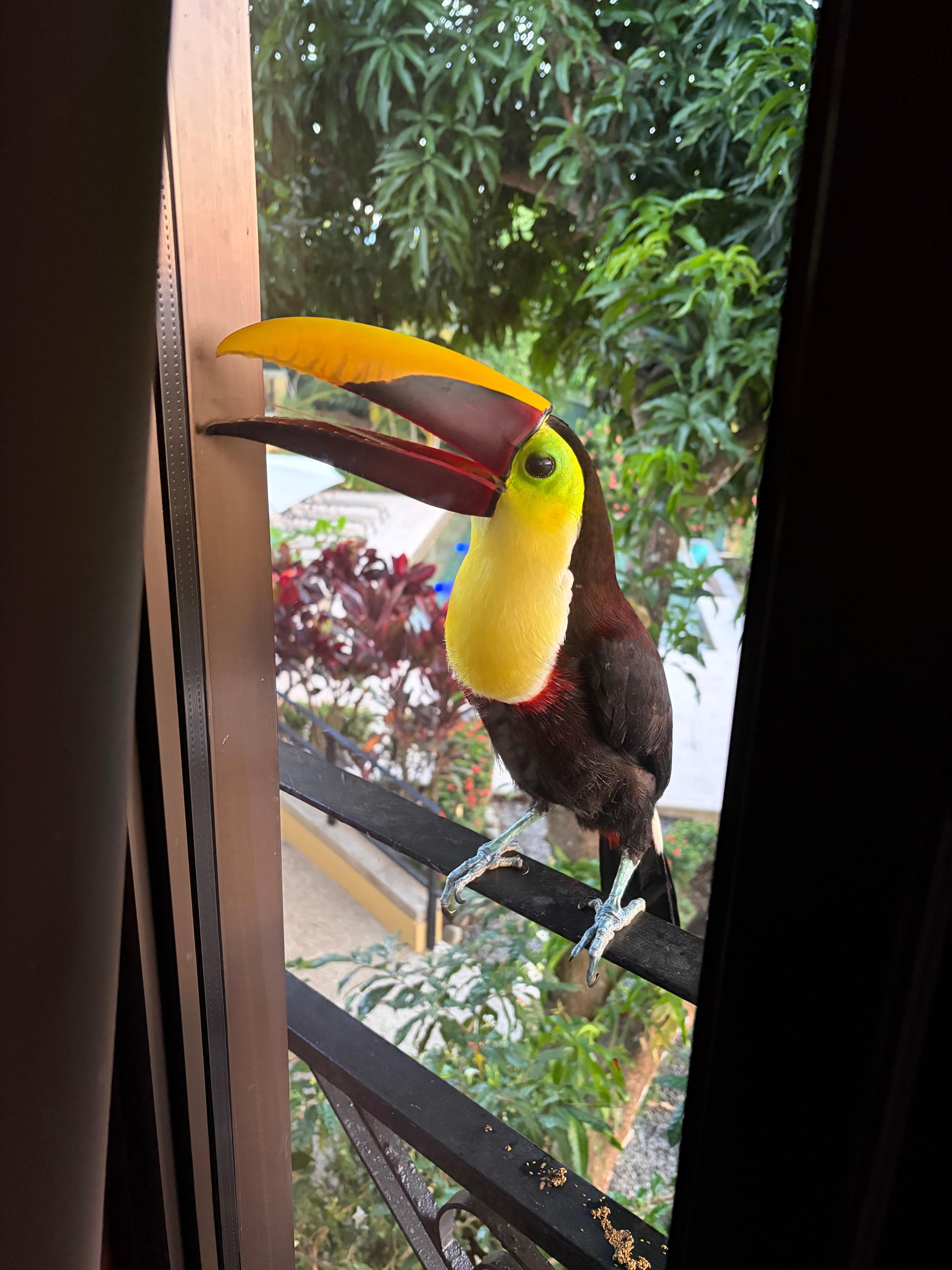 Our alarm clock the first morning :)