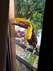 Our alarm clock the first morning :)