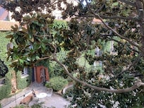 View from the balcony