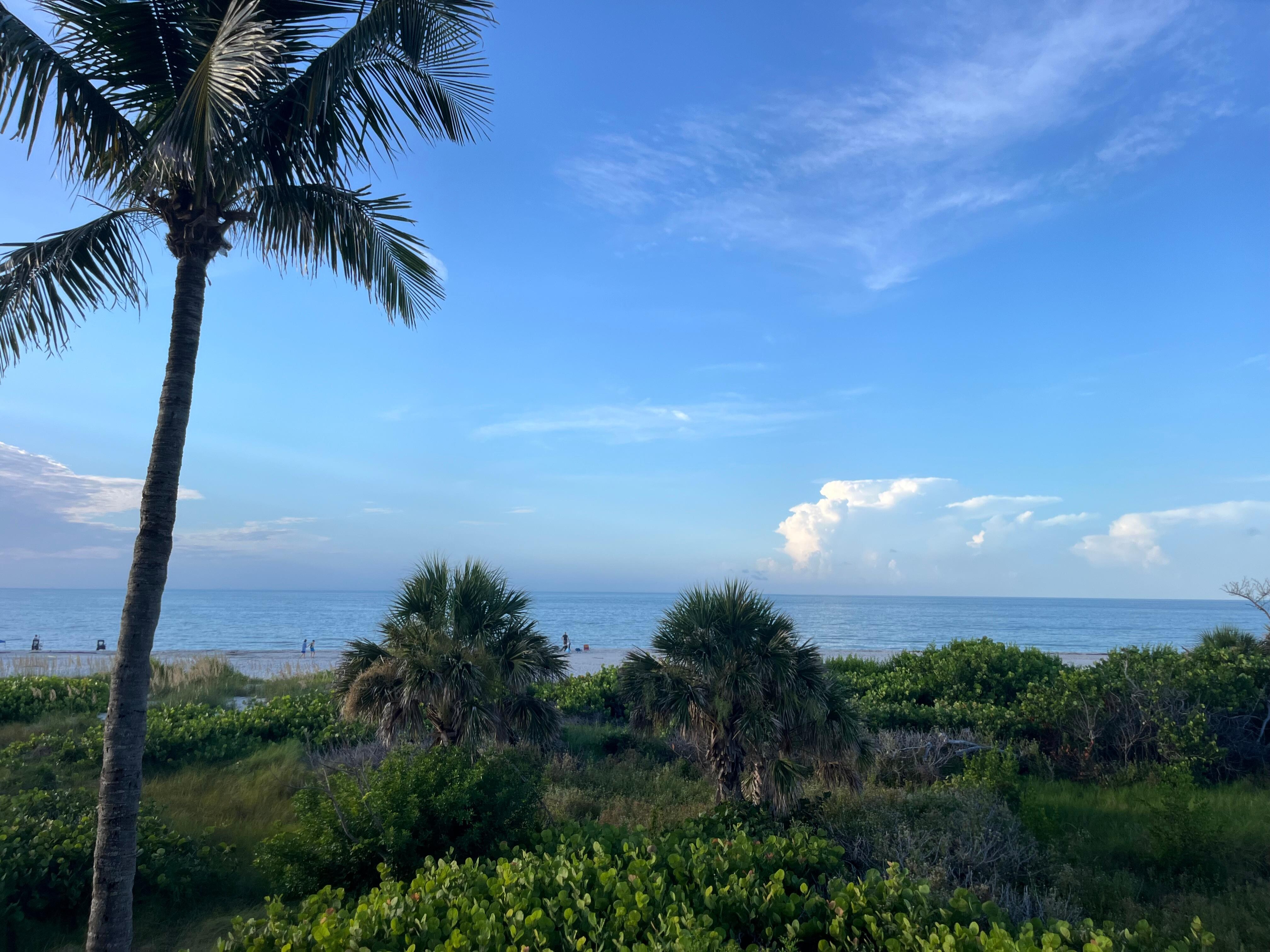 View from porch.