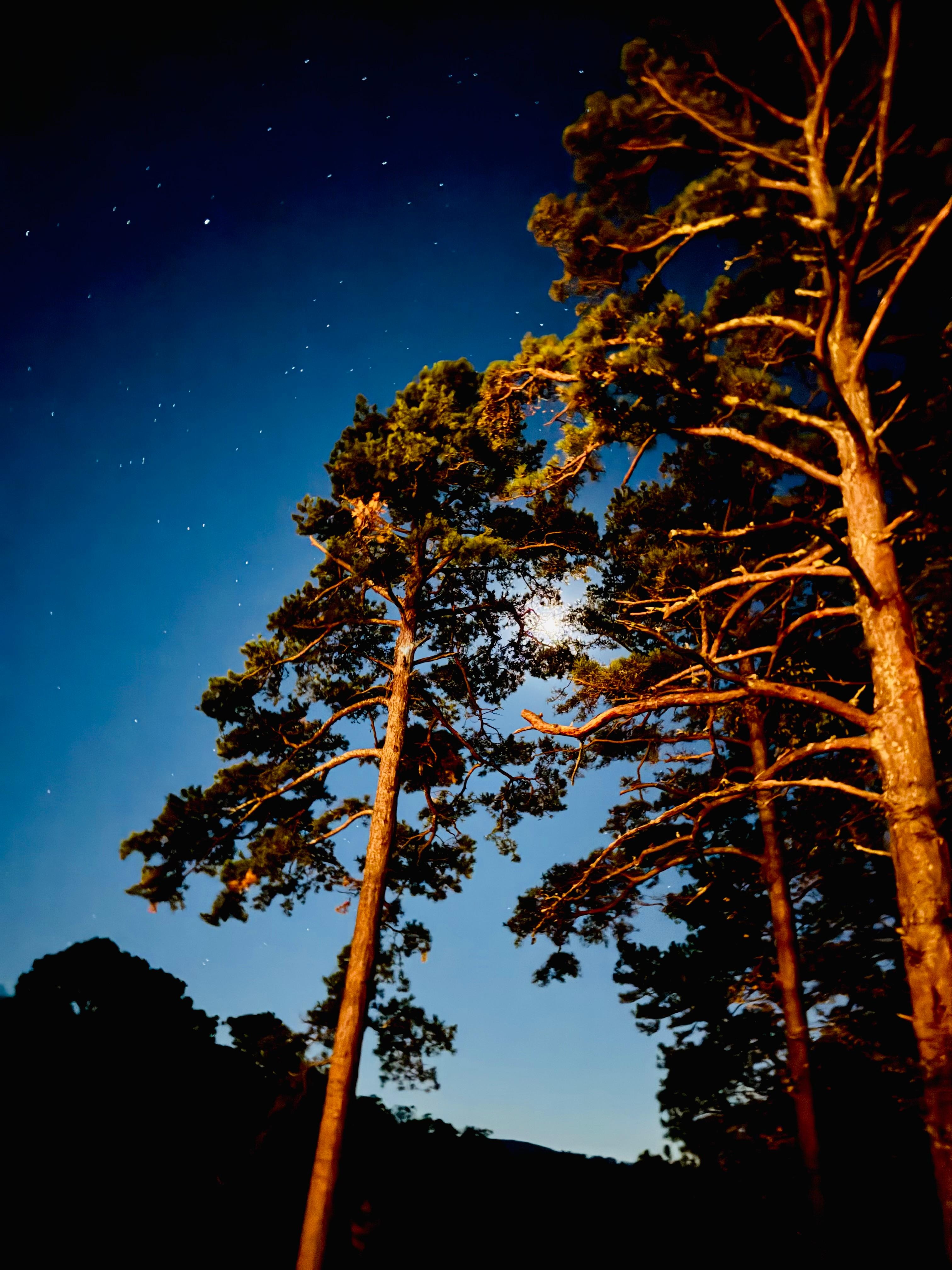 Moon upon arrival first night