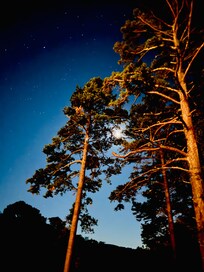 Moon upon arrival first night