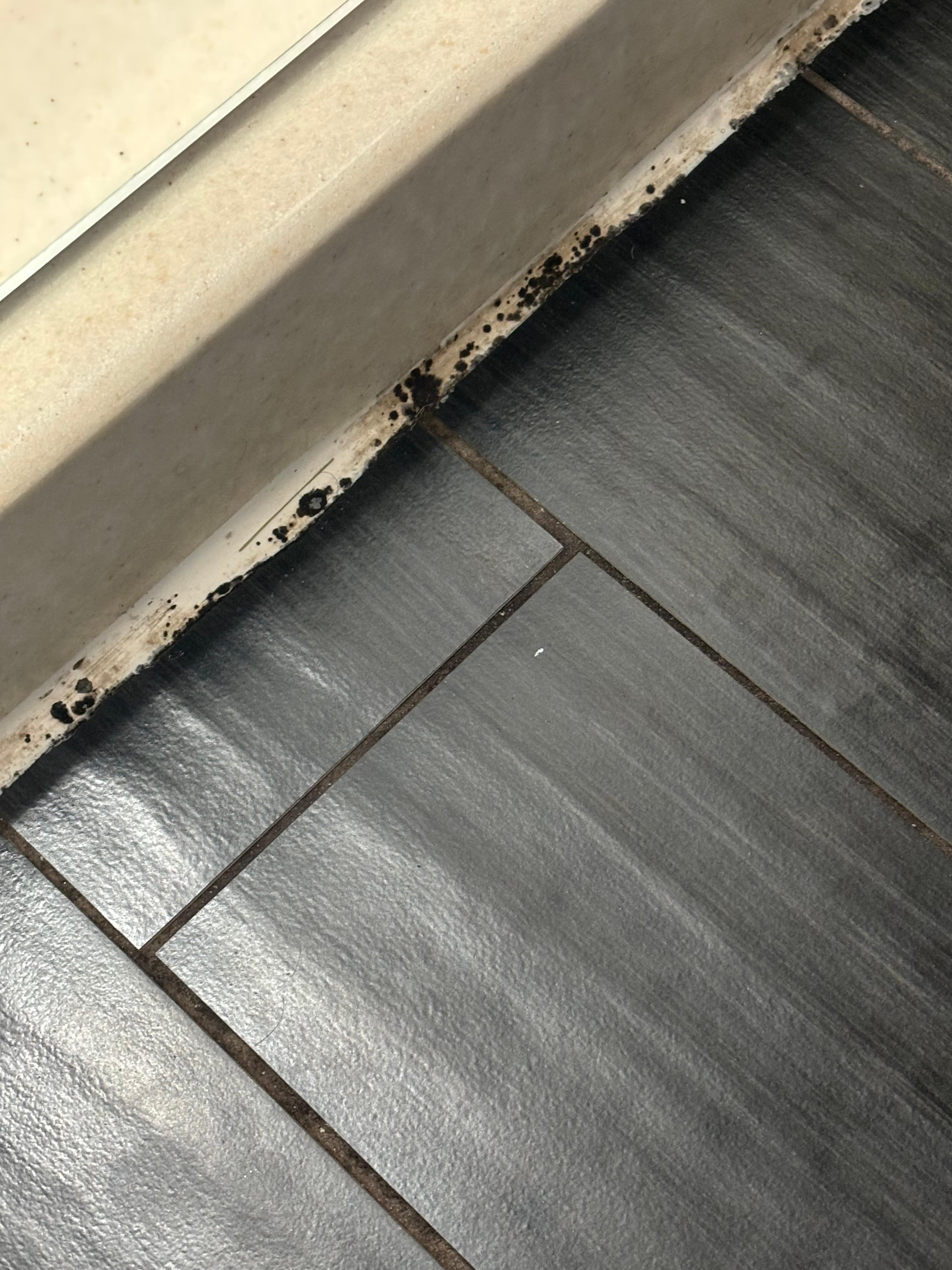 Just outside the shower stall on floor.