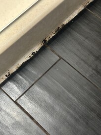 Just outside the shower stall on floor.