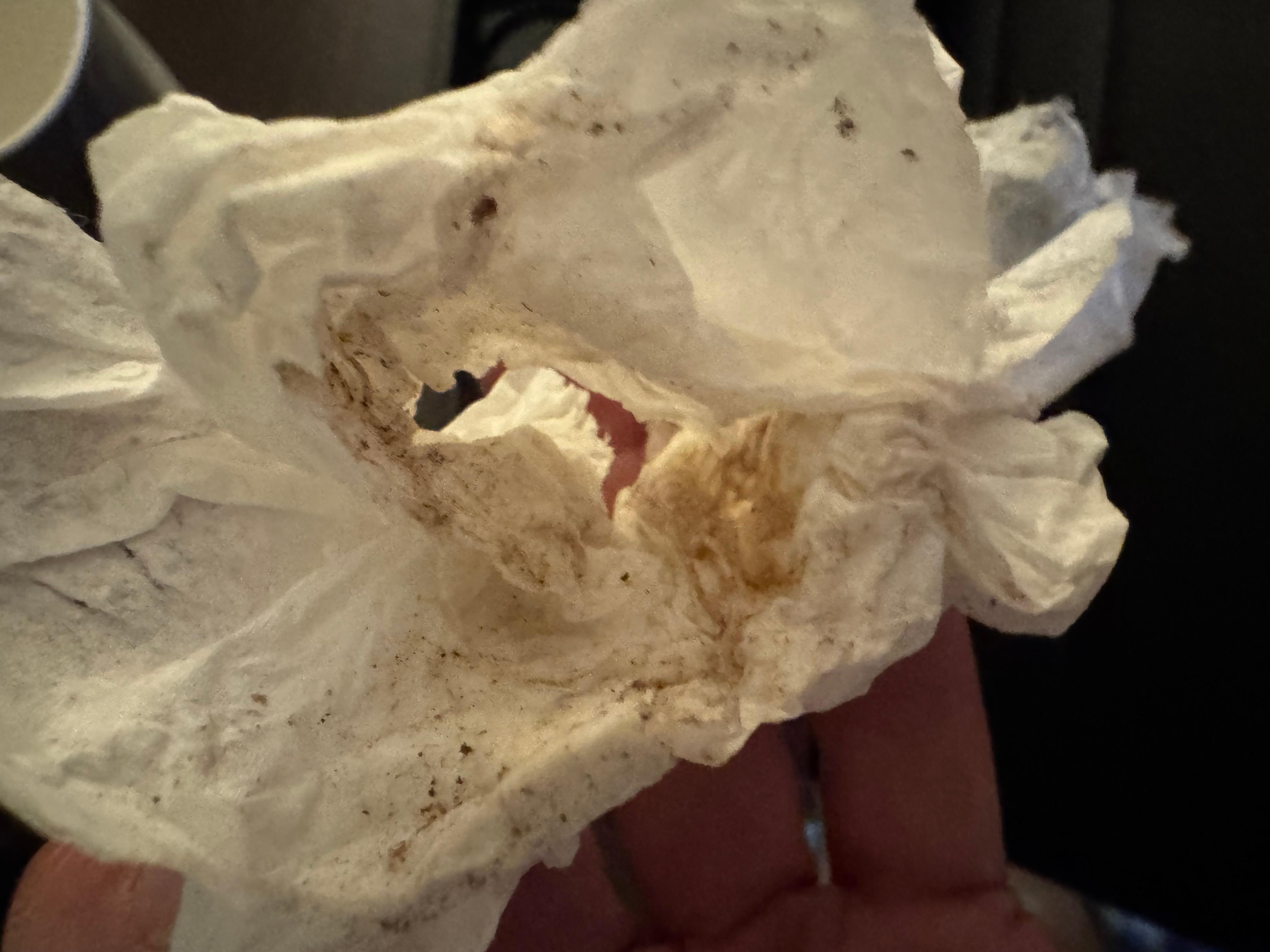 Tissue after one quick pass in the water reservoir when I thought it might just be dusty or have some water deposits. 