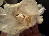 Tissue after one quick pass in the water reservoir when I thought it might just be dusty or have some water deposits.