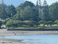 View of house rear from the sand bar at low tide