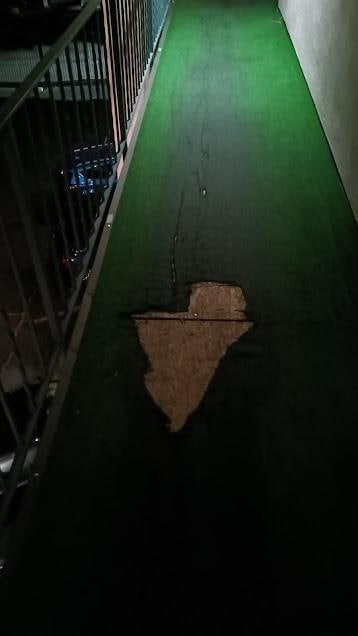 one of many many triping hazards at this place.   also found a nail just laying on the carpet