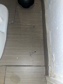 Ashes on the side of the toilet