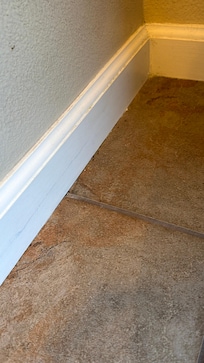 Ants in kitchen around baseboard