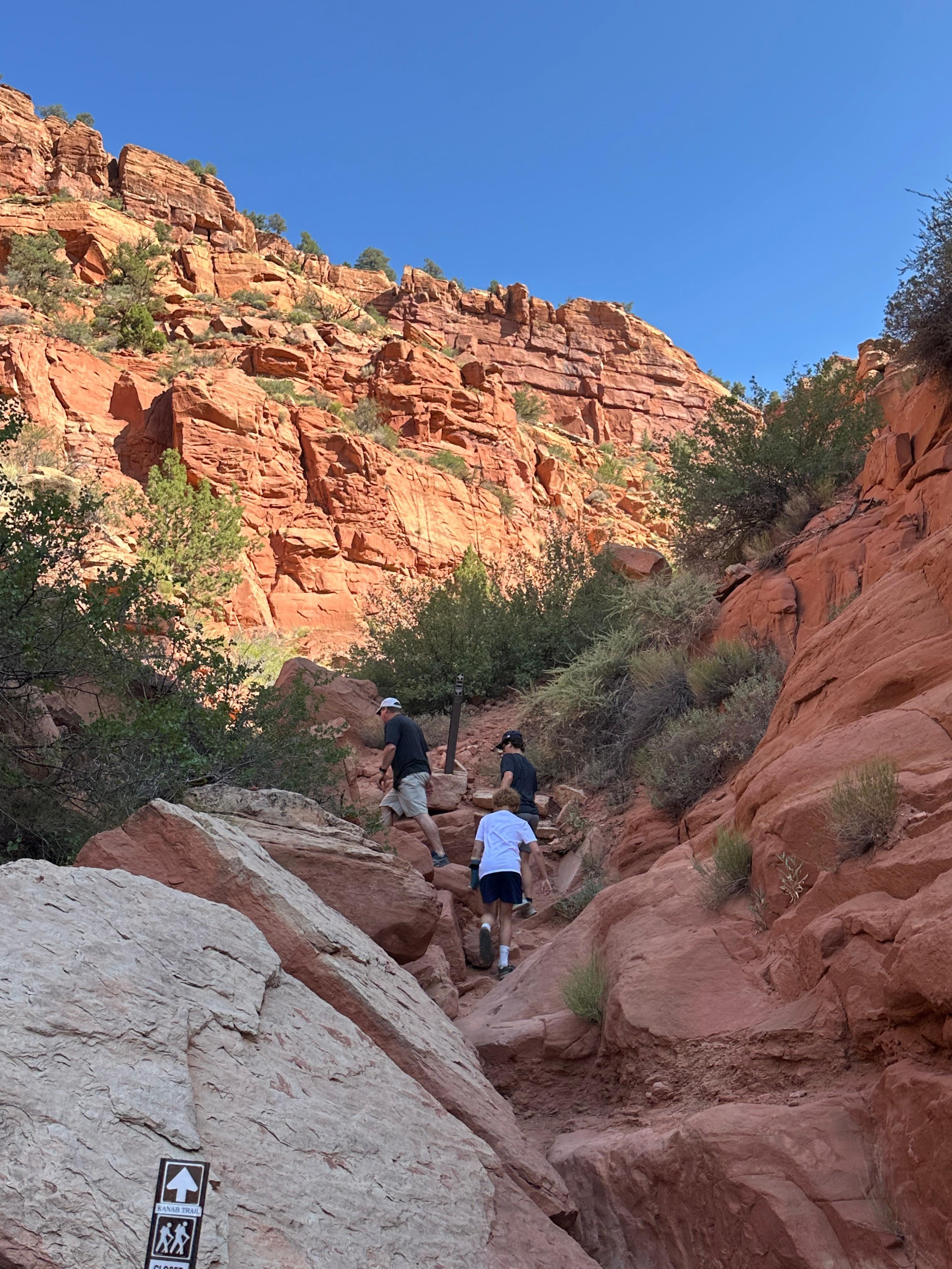 Moderate hike easy walking distance from the house