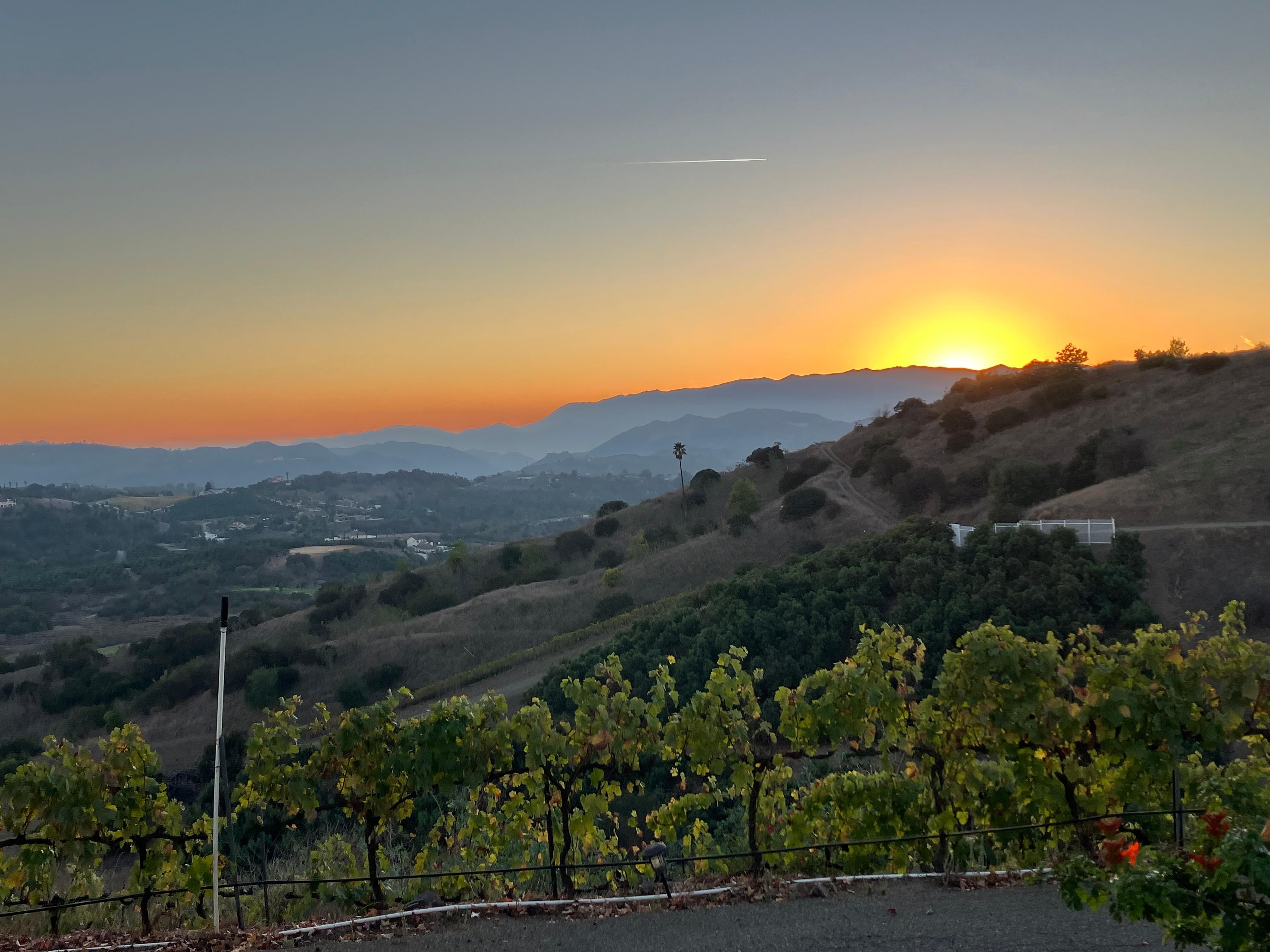 Sunset from the pool