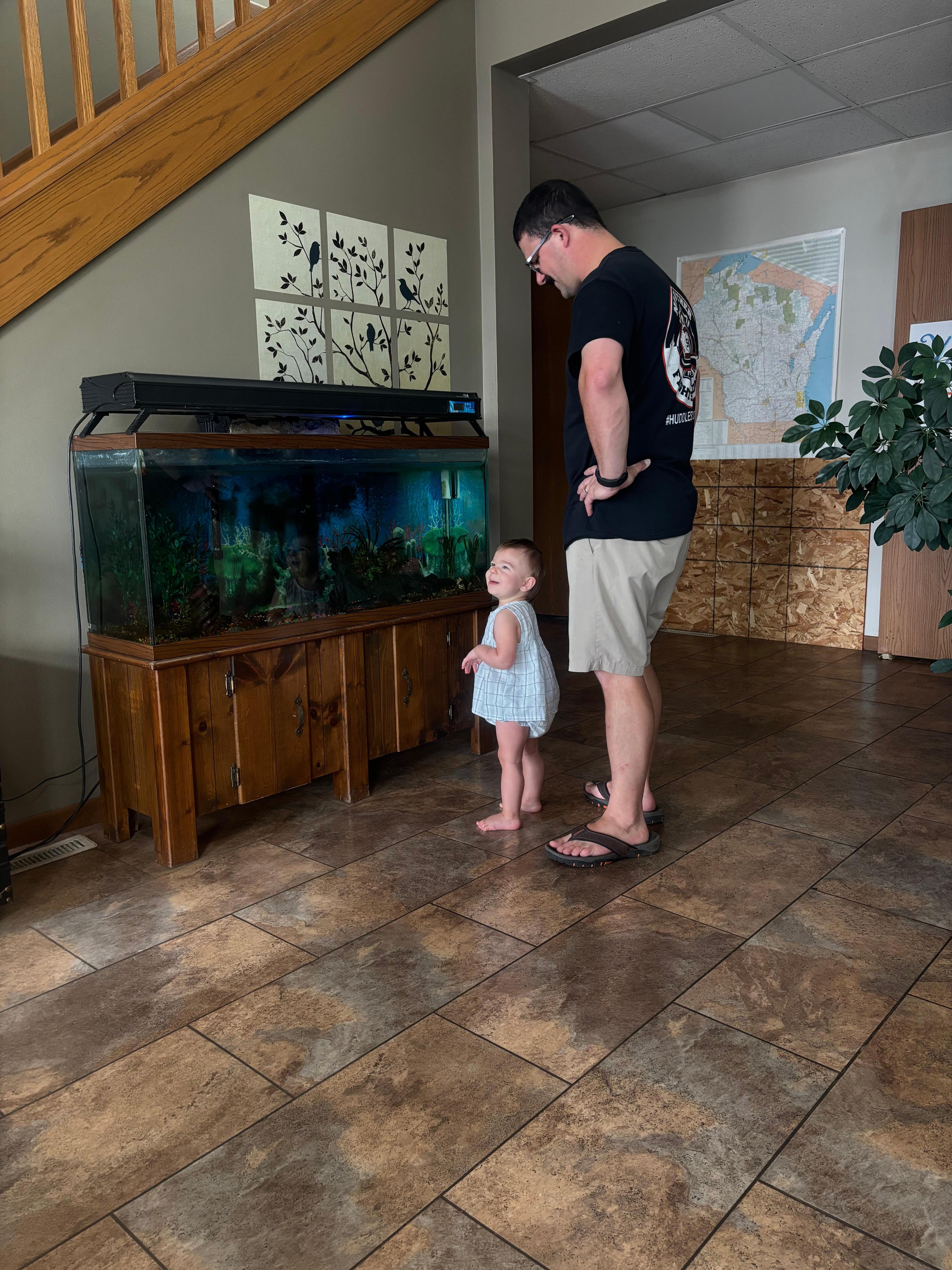 Fish aquarium/ lobby area 