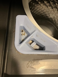 Foul smelling grime in washer