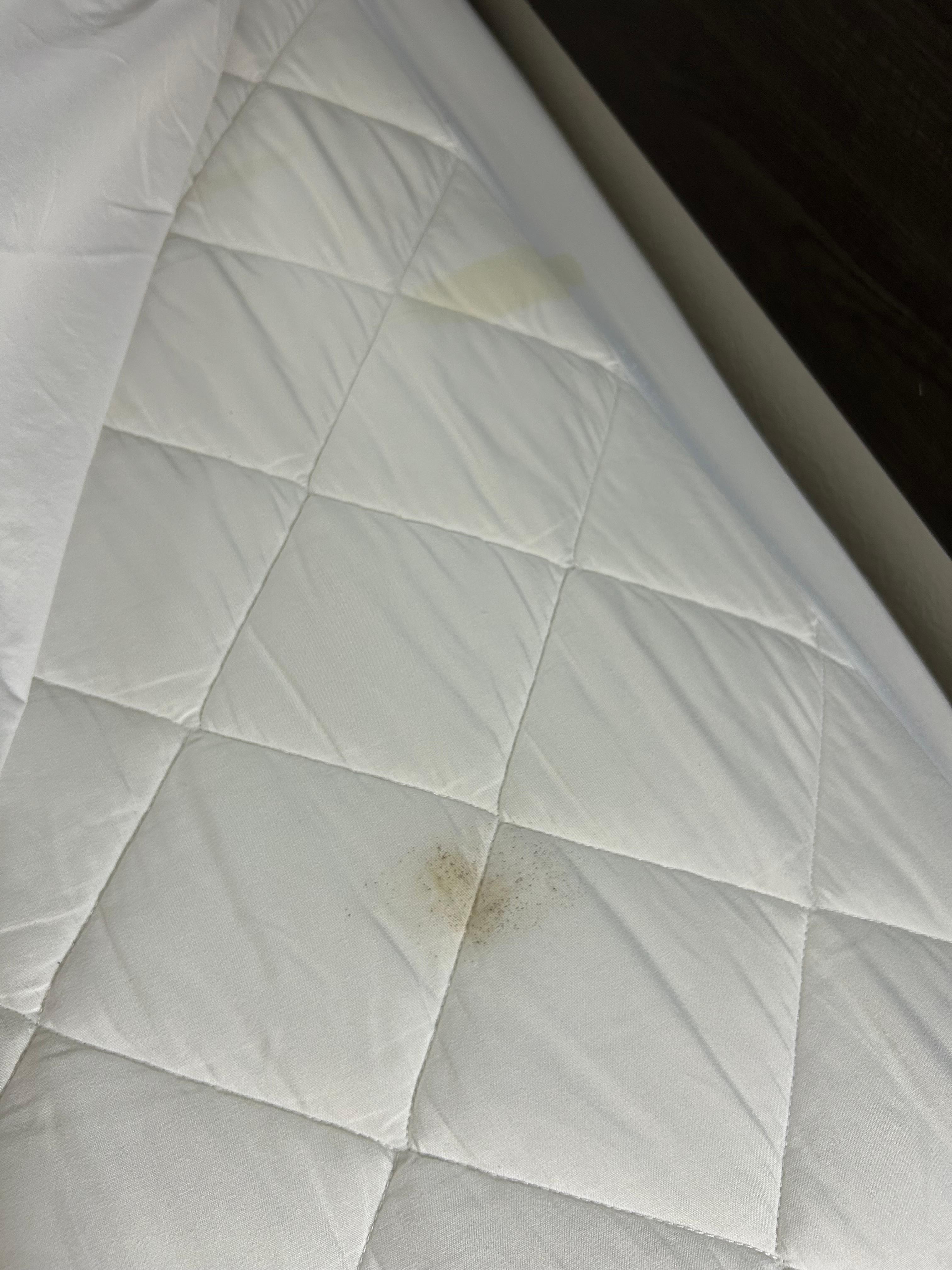 Stains on the bedding.