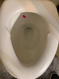 Padded toilet seat was sliced making sanitary concerns.
