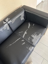 This was the couch in the front lobby. We never made it to the room.