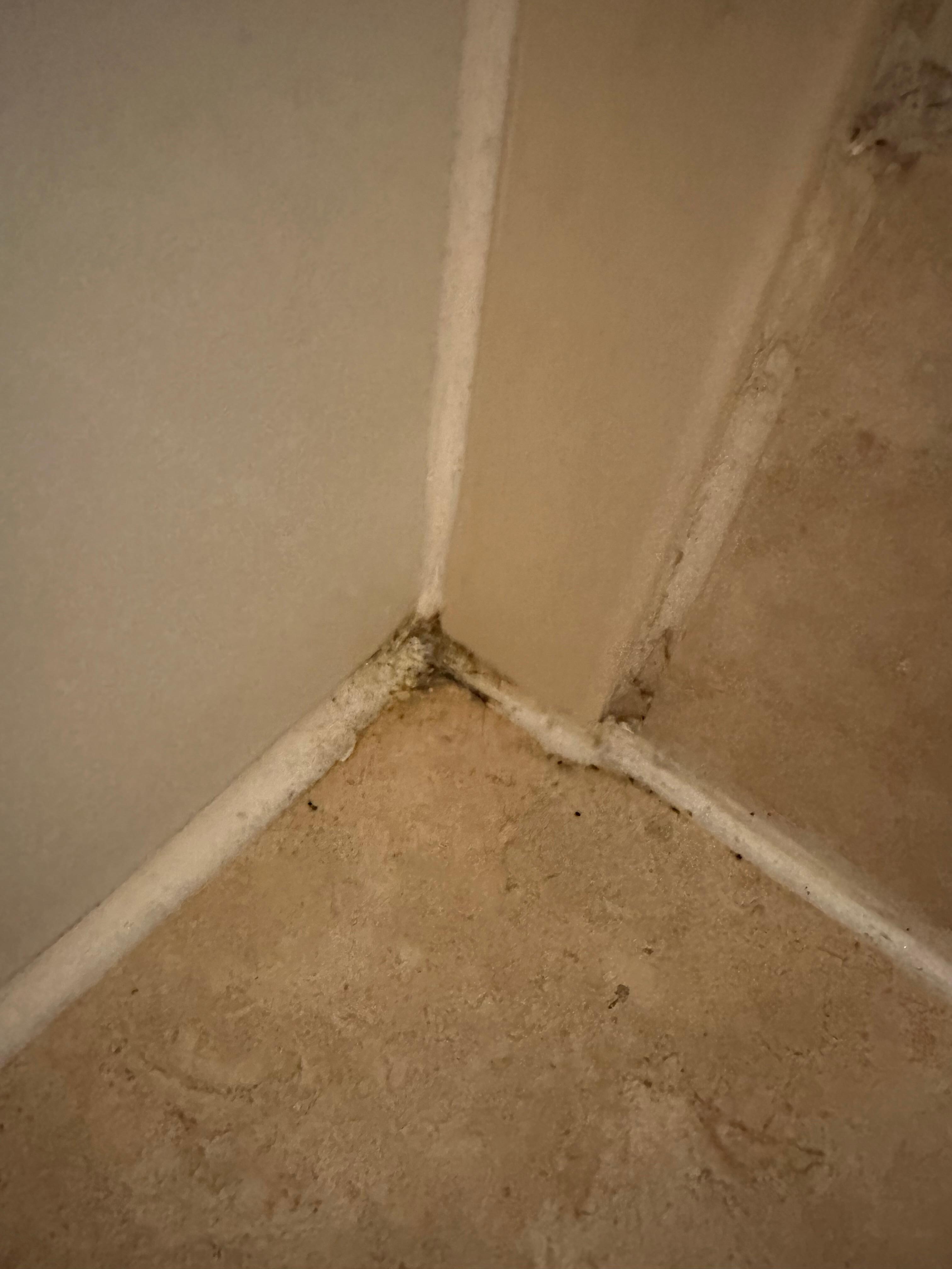 Some of the grime in our bathroom 