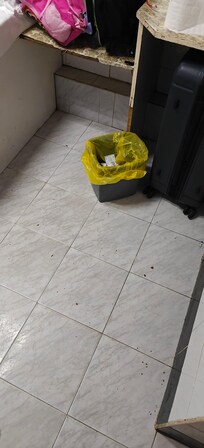 Inside of the room. The room has a strong smell. With occasional bugs.