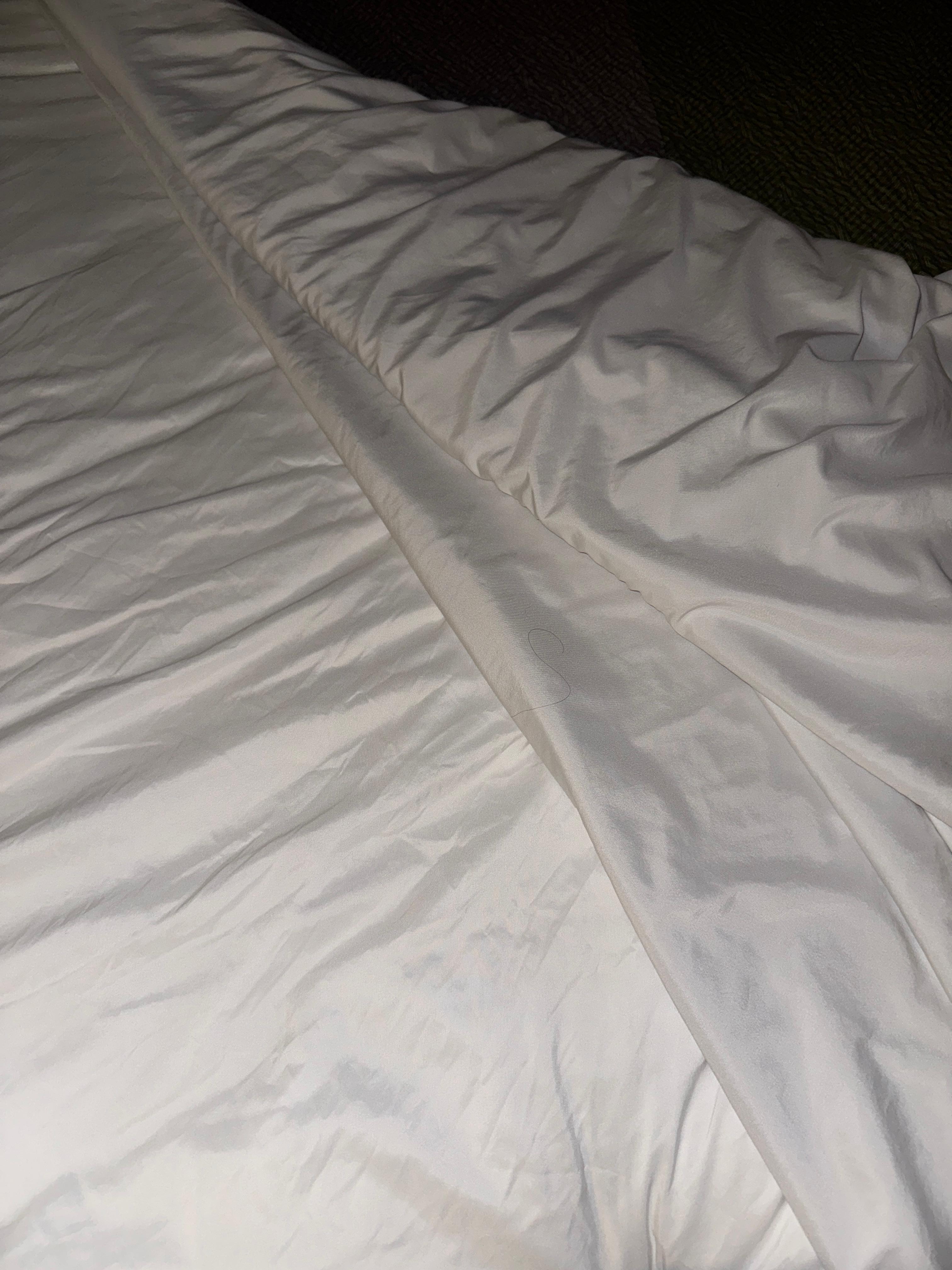 Hair gound in the bed after new sheets and service were requested. 