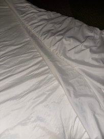 Hair gound in the bed after new sheets and service were requested.