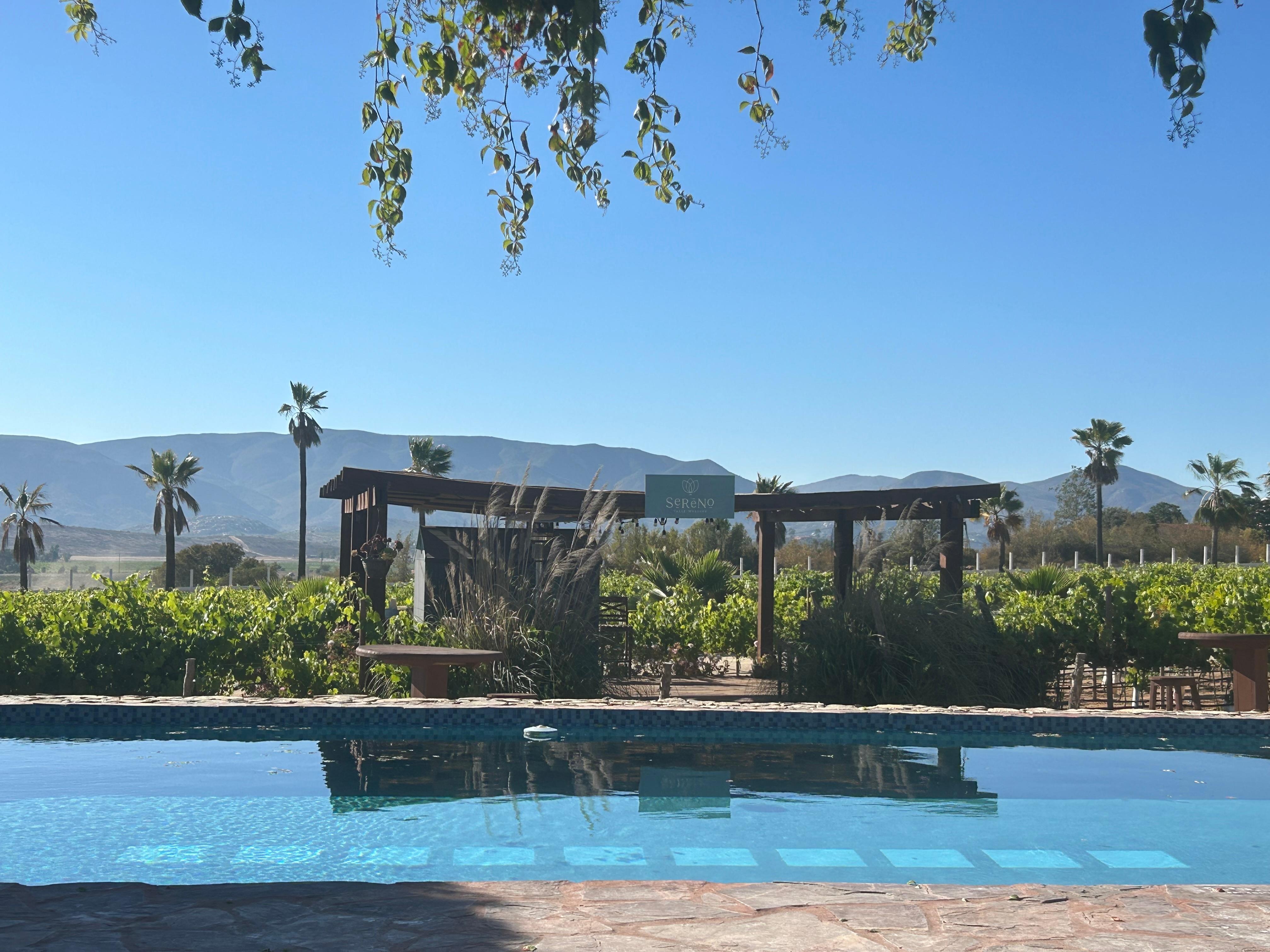 Relaxing by the pool with a serene view