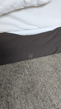 Strange stain in bed when we arrived.
