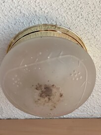 The two light fixtures over the bed had large accumulation of dead bugs.
