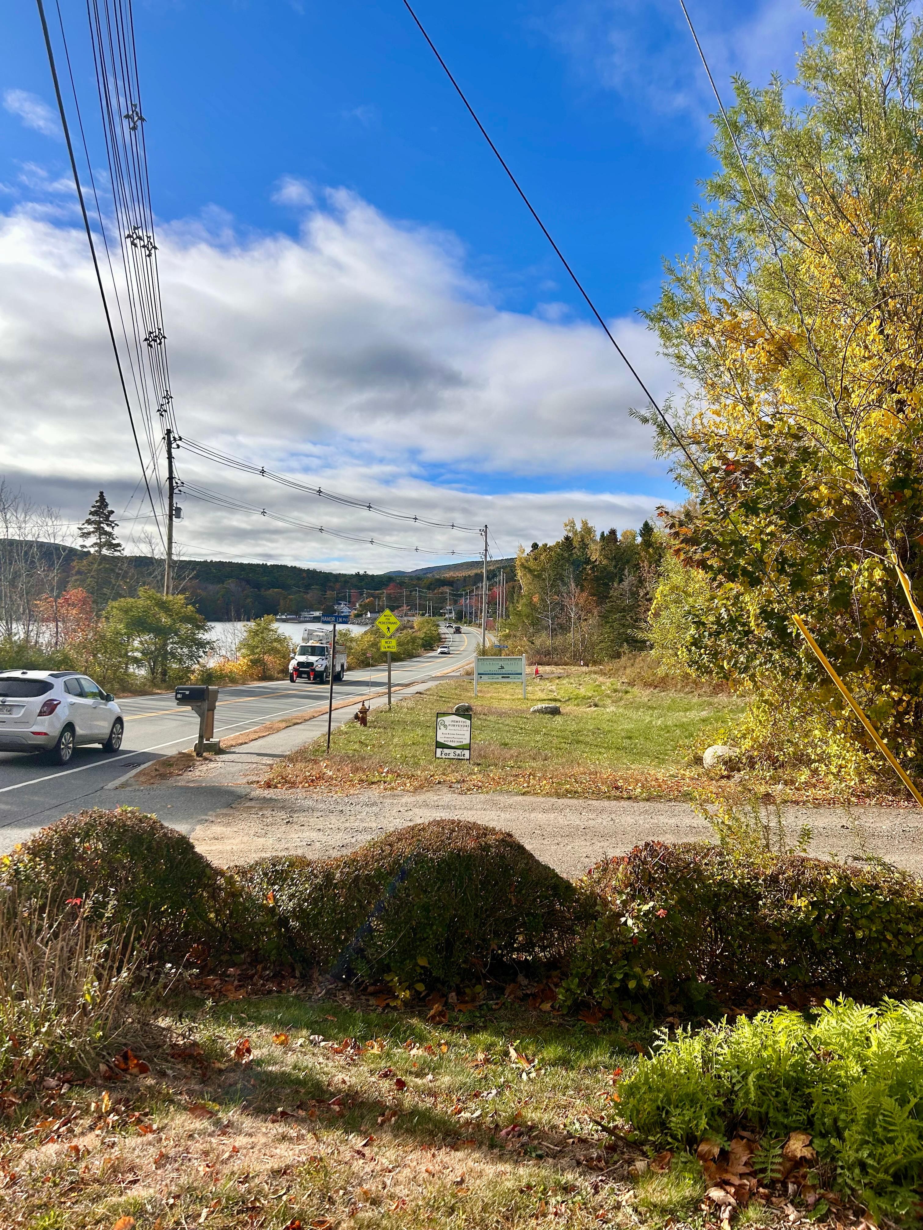 View from front porch