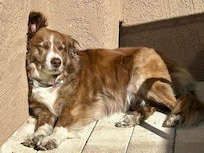 Suntanning on the deck!