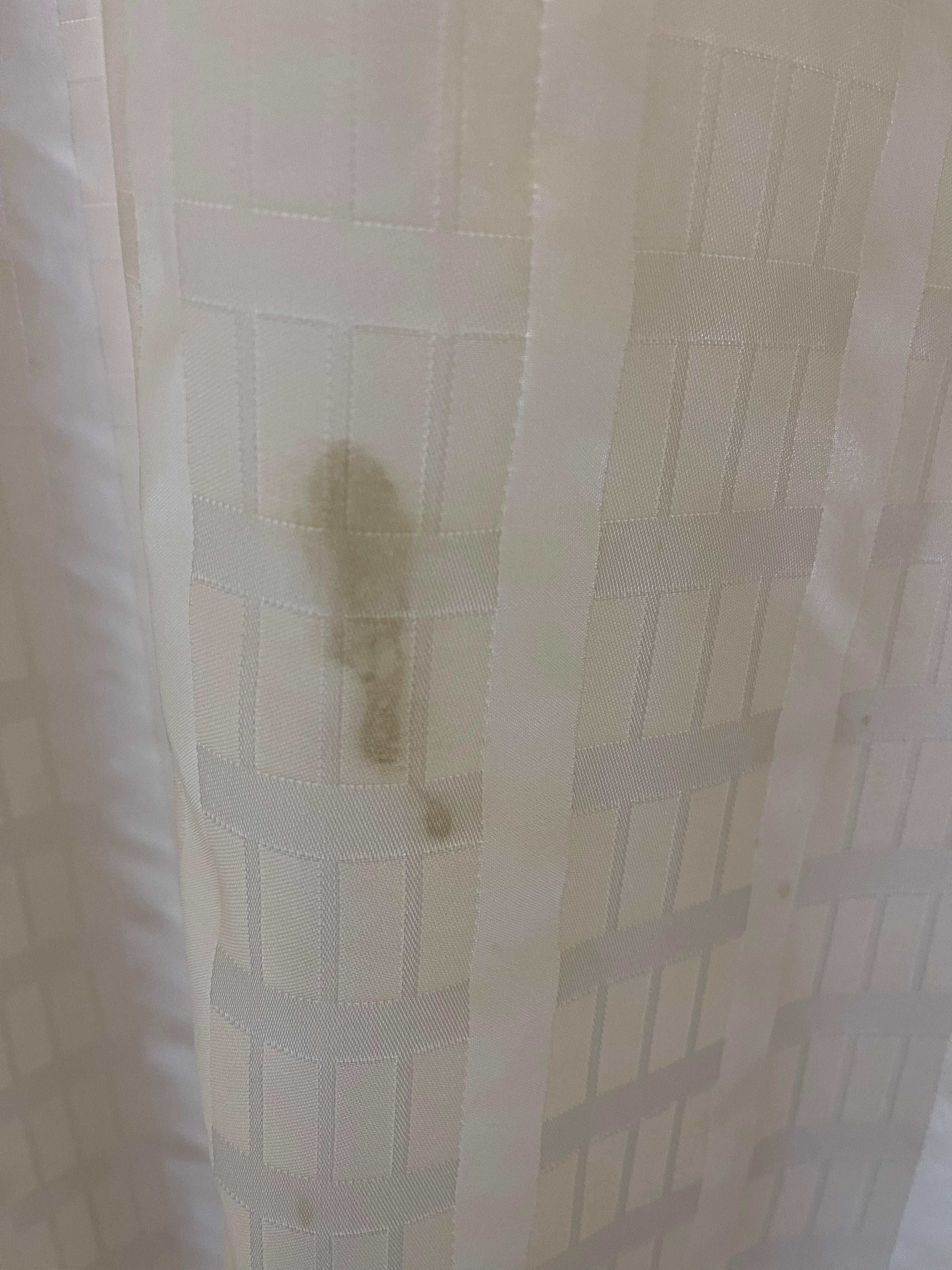 Dried shampoo on shower curtain