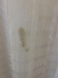 Dried shampoo on shower curtain