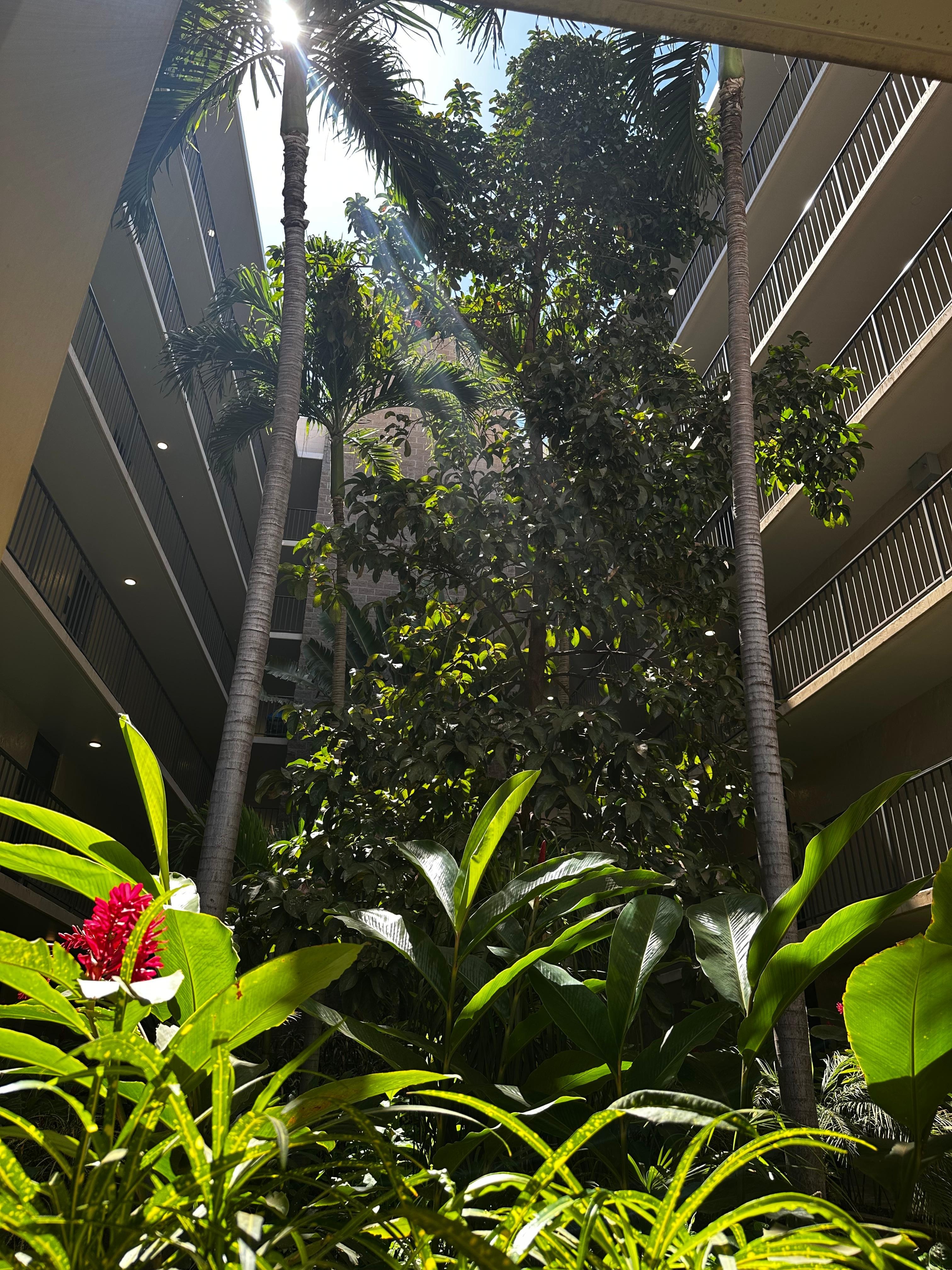 Courtyard in building 