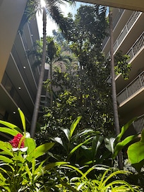 Courtyard in building