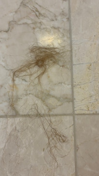 The shower guest I noticed on day 3 of my stay.