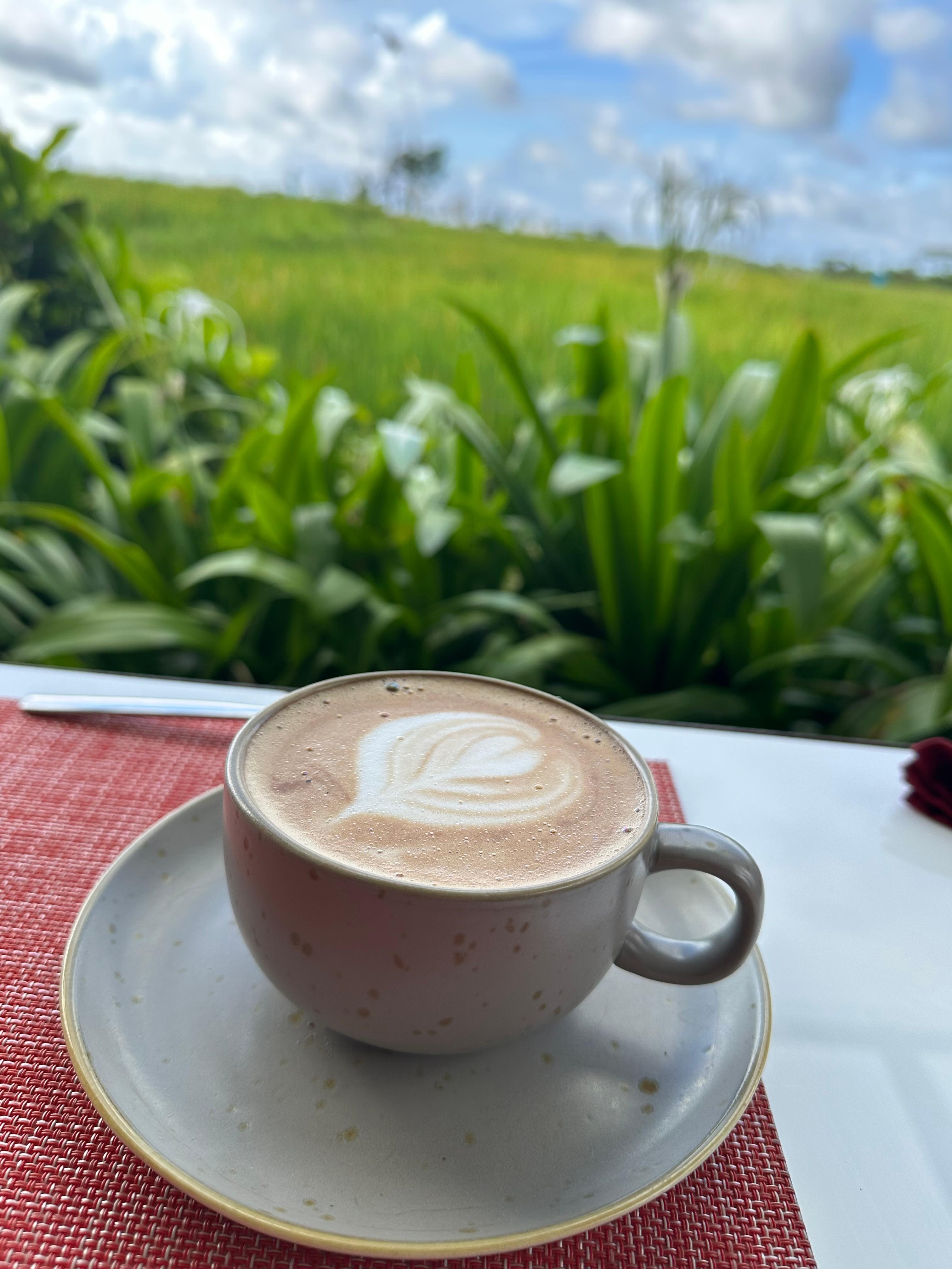 Flat White avoine au buffet du petit-déjeuner.