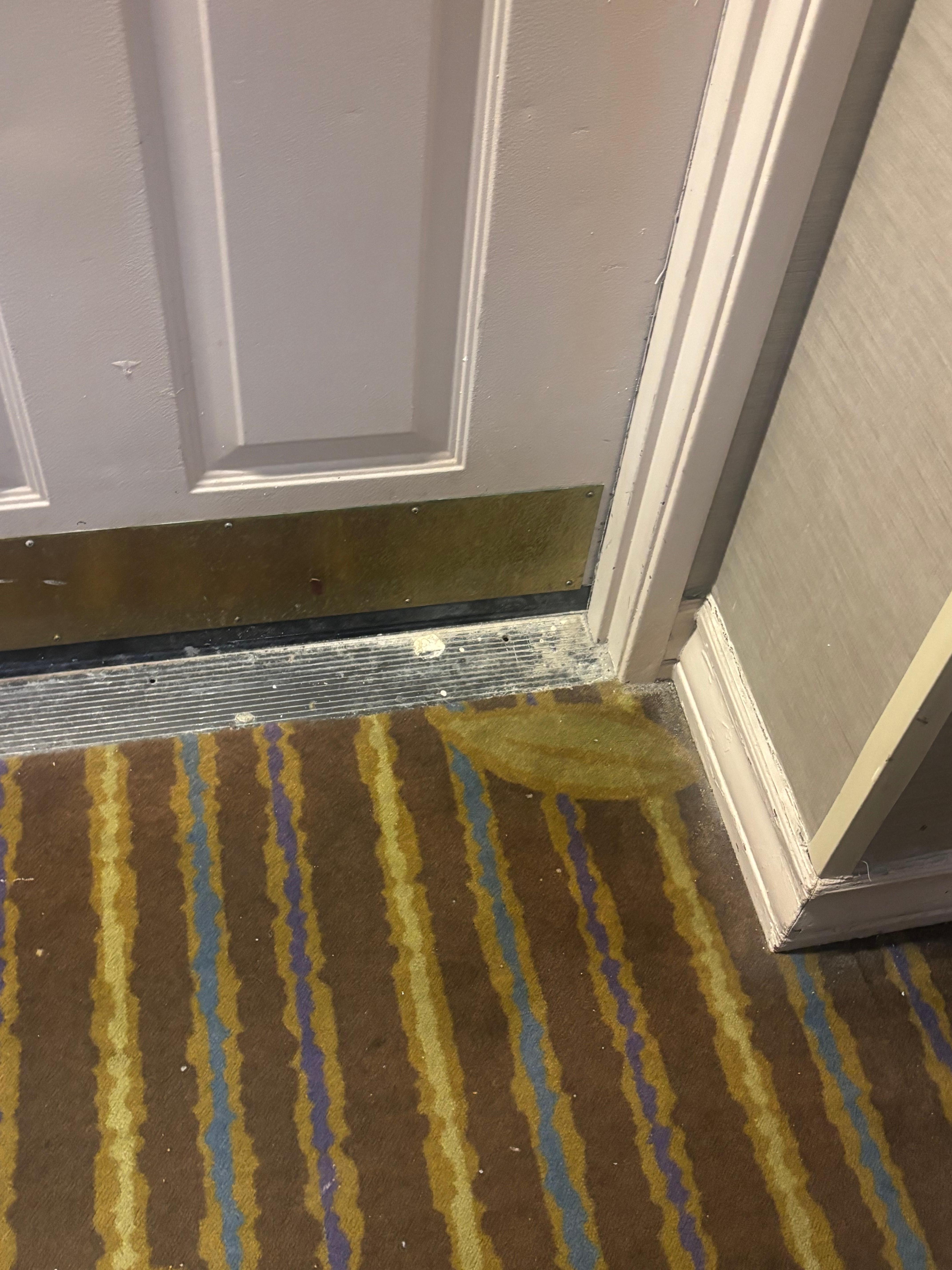 All halls dirty, carpet was filthy.