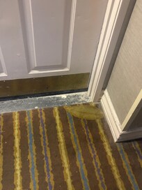 All halls dirty, carpet was filthy.