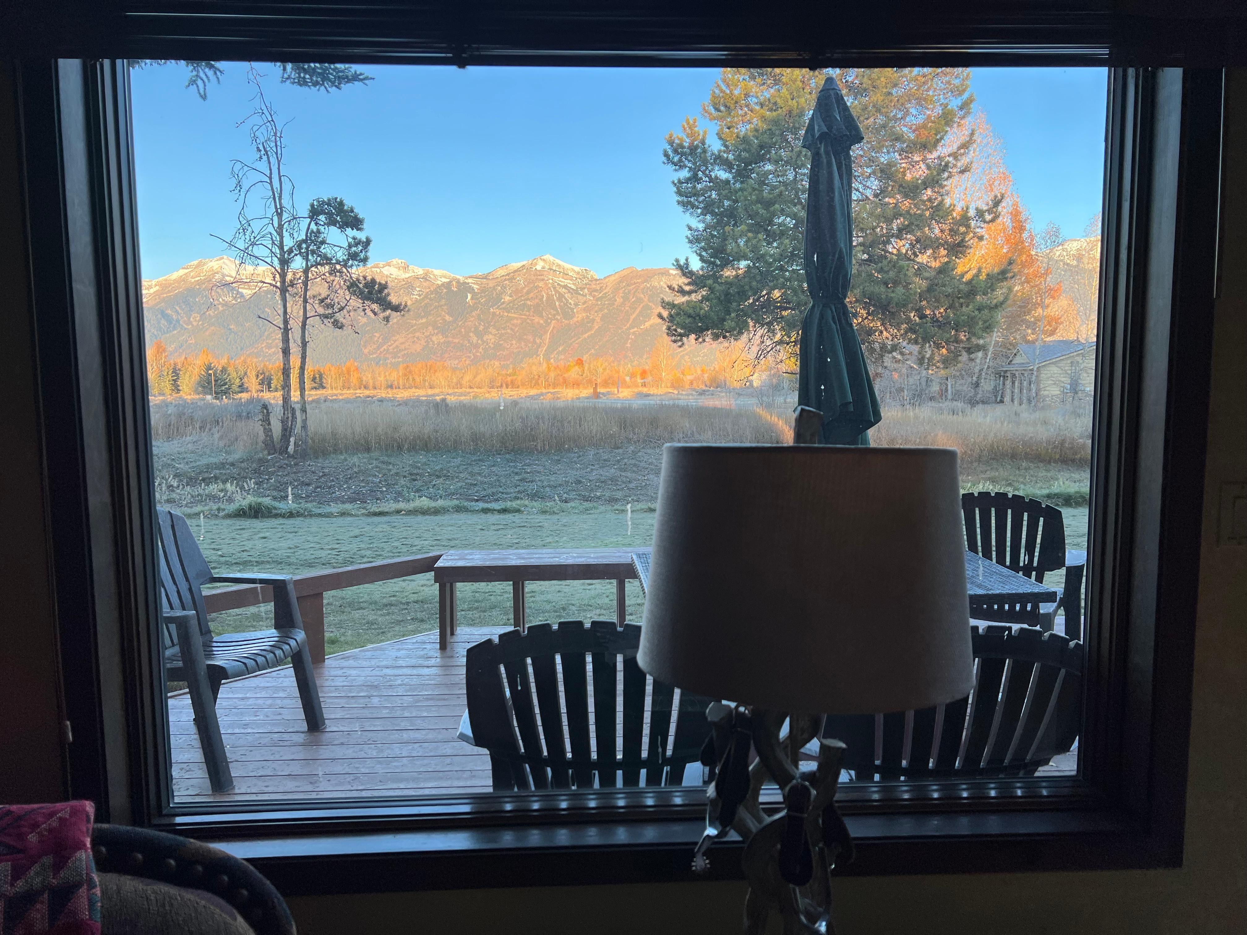 View from the living room 