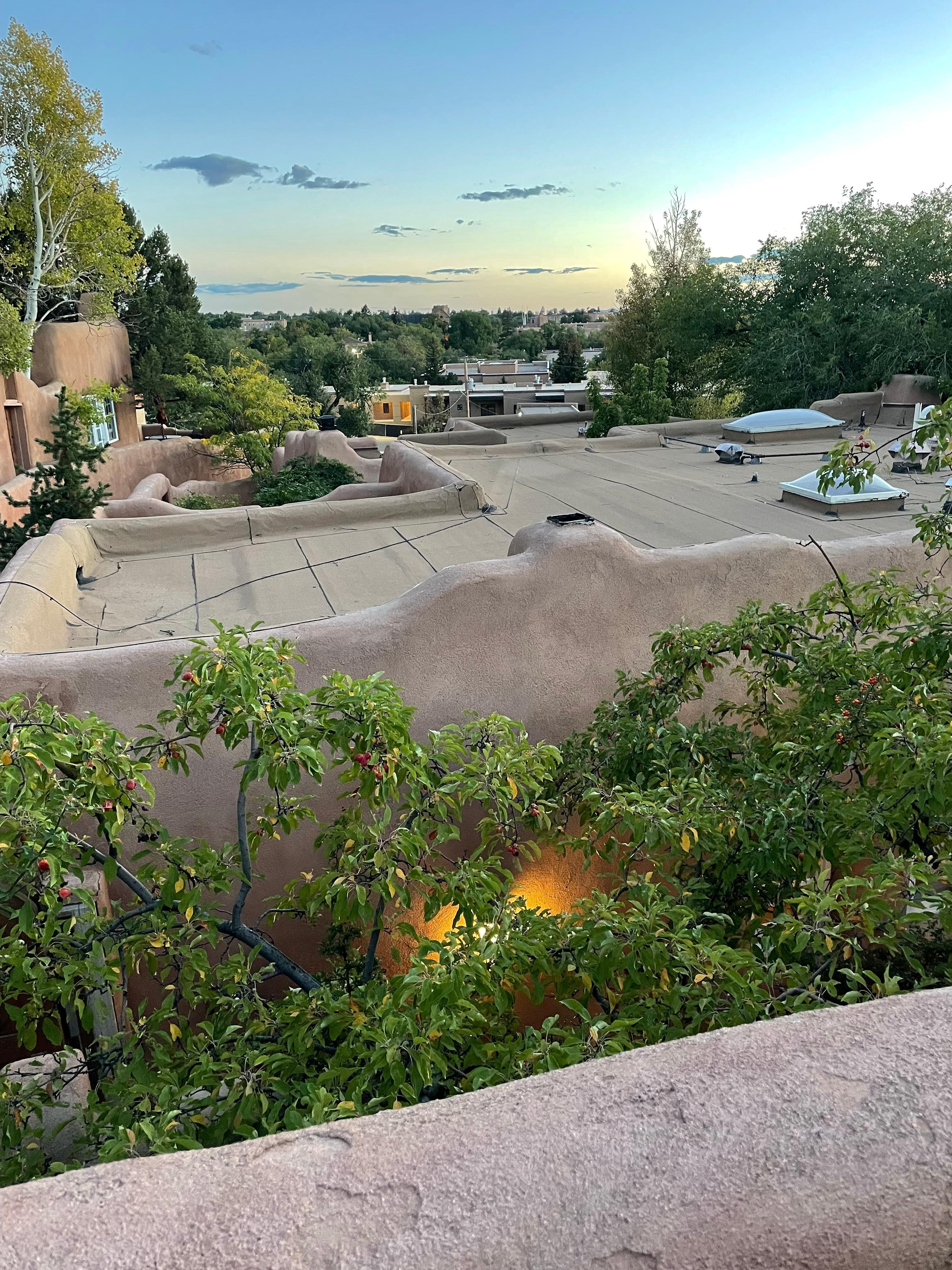 View from rooftop patio 