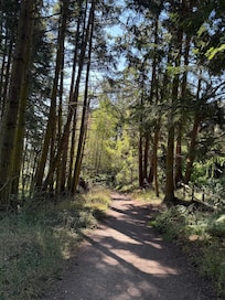 The surrounding woods are beautiful for walks.