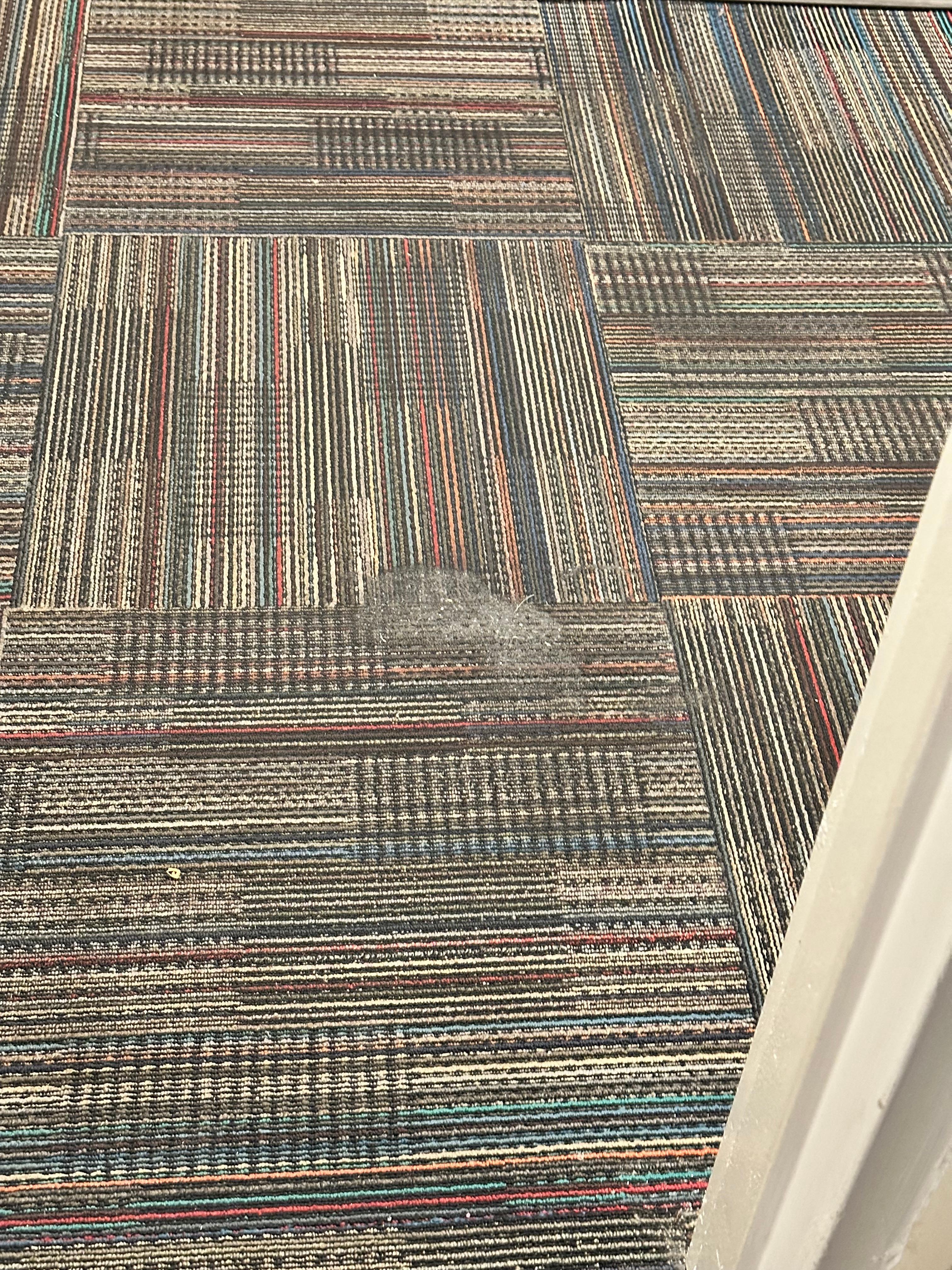 Carpet was very dirty