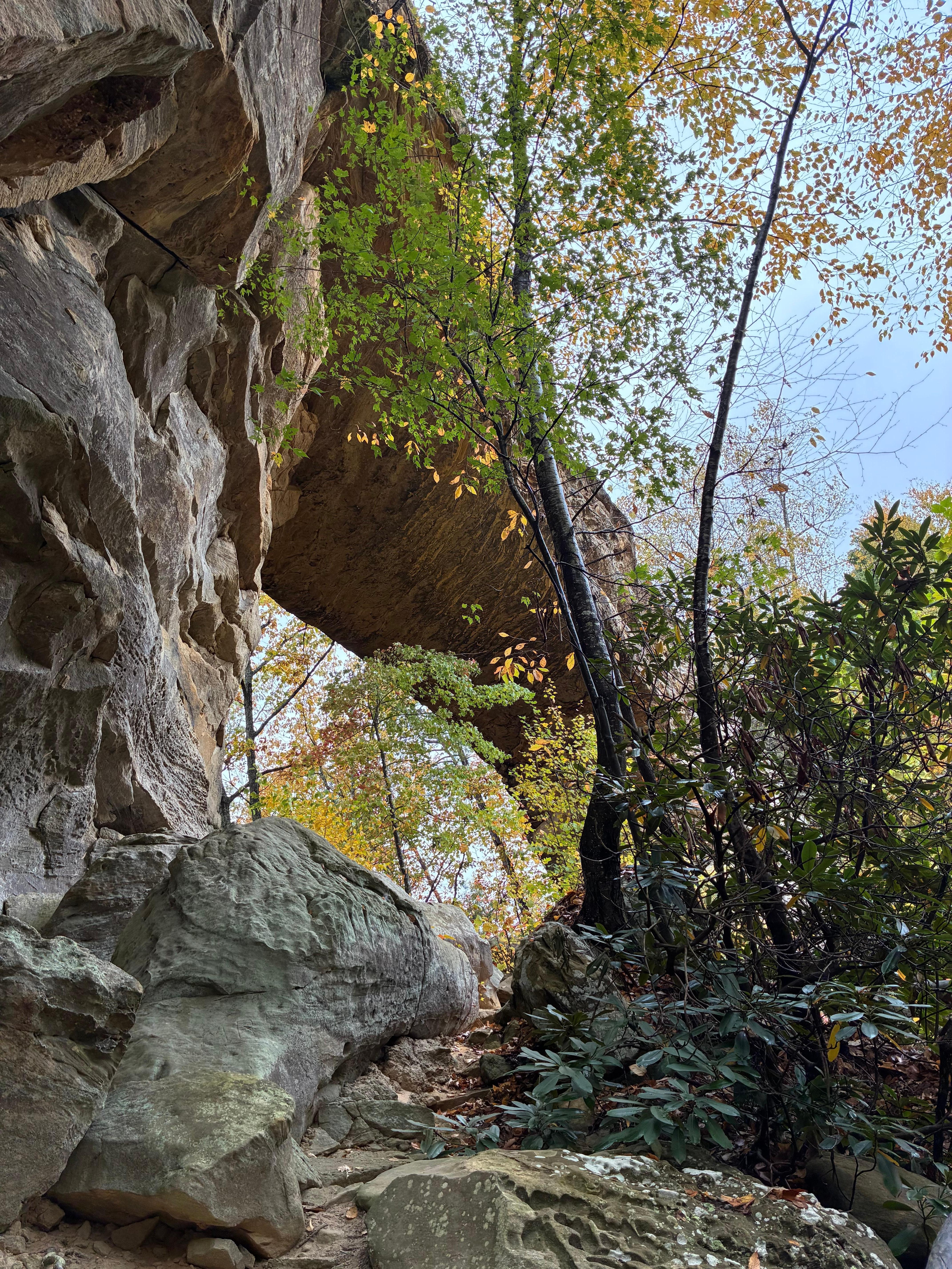Near local attractions like Natural Bridge and Underground Kayaking 