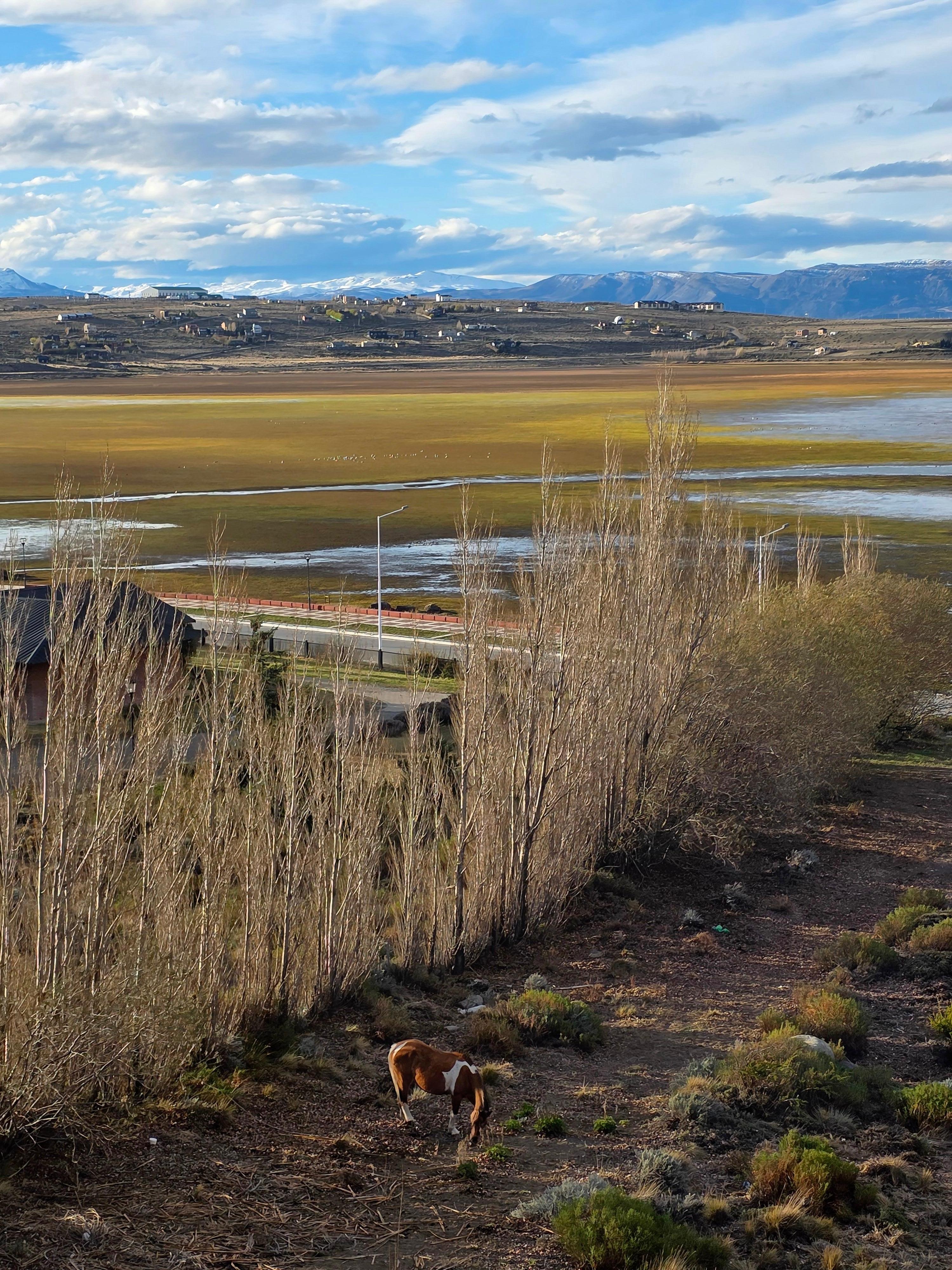 Paganos por una vista "preciosa" que mostraba la pa página y asi nos toco