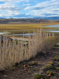 Paganos por una vista "preciosa" que mostraba la pa página y asi nos toco